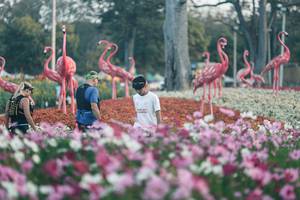 BIB: 
                            <button type="button" onclick="openModal(27344004)" class="btn btn-primary btn-sm float-right btn-popup" data-toggle="modal" data-target=".modal-high-quality">
                        <i class="fas fa-shopping-cart"></i> Add to Cart
                    </button>
                                            <button type="button" onclick="isThisMe(27344004, true)" class="btn btn-success btn-sm float-right btn-popup btn-isme hidden" data-toggle="tooltip" data-placement="bottom" title="นี่คือรูปของคุณใช่ไหม คลิกที่นี่เพื่อเอาเข้าอัลบั้ม">
                        <i class="fas fa-plus"></i> Add to album
                    </button>
                    <button type="button" onclick="isThisMe(27344004, false)" class="btn btn-warning btn-sm float-right btn-popup btn-isnotme hidden">
                        <i class="fas fa-ban"></i> Remove from album
                    </button>